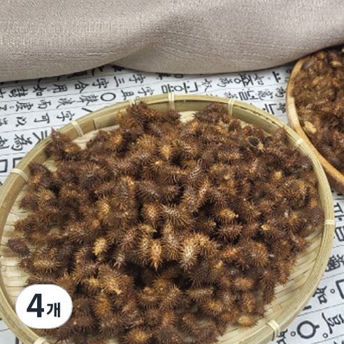 월드블링 창이자 도꼬마리, 200g, 4개