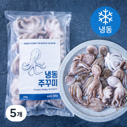 바이오션 주꾸미 (냉동), 500g(10~15마리), 5개