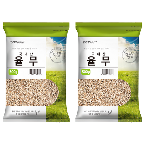 대구농산 건강한 밥상 국산 율무, 500g, 2개