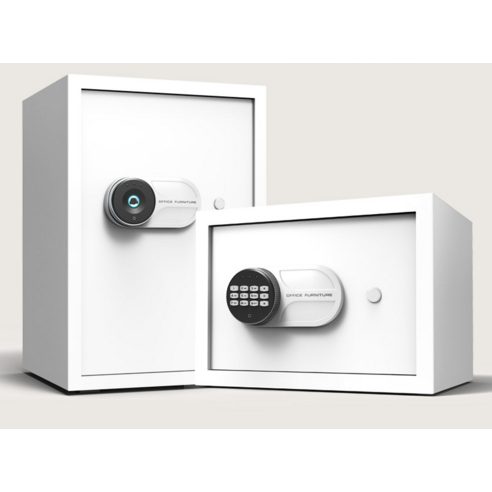 지문 하나로 지키는 소중한 물건, 엘르시 디지털 금고로 안심하세요!