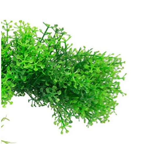 인조 수초로 손쉽게 완성하는 나만의 수중 정원