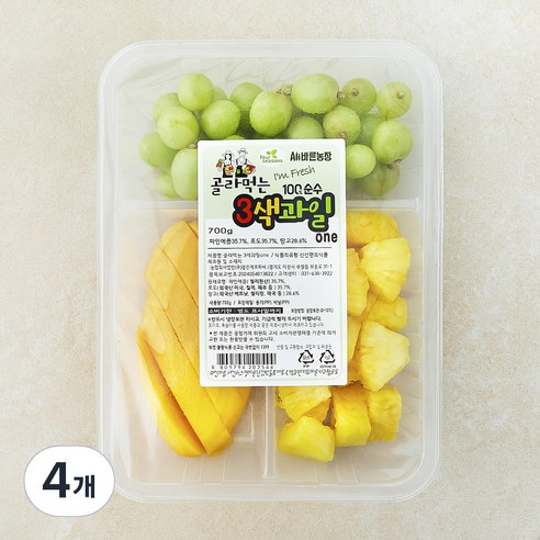 3색과일 one (망고 포도 파인애플), 4개, 700g