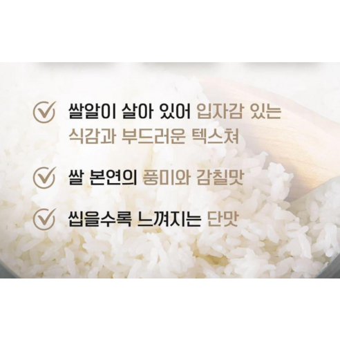 갓 지은 밥맛, 발뮤다 더 고항 밥솥 3인용, 지금 바로 만나보세요!