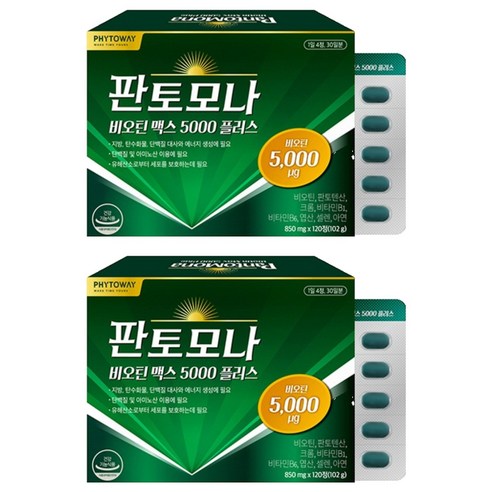 판토모나 비오틴 맥스 5000 플러스, 120정, 2개
