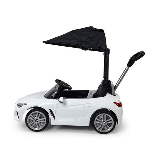 꿈을 담은 질주, BMW Z4 푸쉬카와 함께!