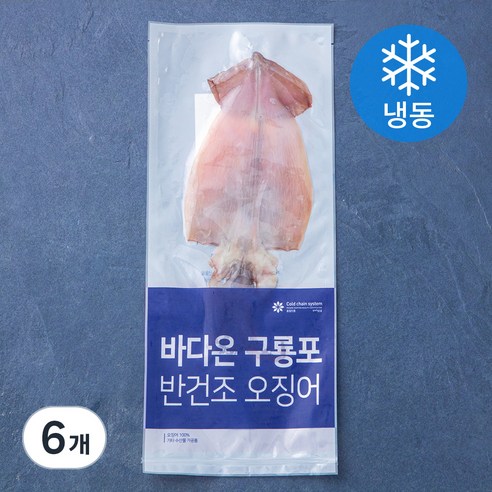 바다온 포항시 인증 한마리 구룡포 반건조 오징어 (냉동), 90g, 6개