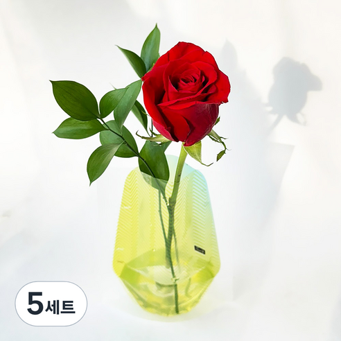 포켓플라워 생화 장미 한송이 세트, 레드, 5세트