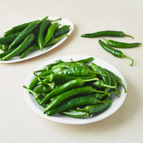 [로켓프레시] 오이맛고추