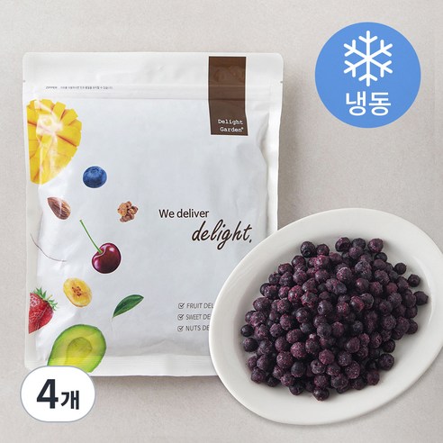 캐나다산 와일드블루베리 (냉동), 500g, 4개