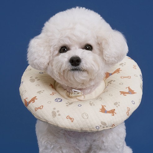 사랑하는 반려동물을 위한 포근한 선물: 도그아이 목화솜 쿠션 넥카라 강아지넥카라쿠션