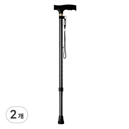 펠리스제이 보행 보조 어르신 지팡이, 블랙기본 외발, 2개