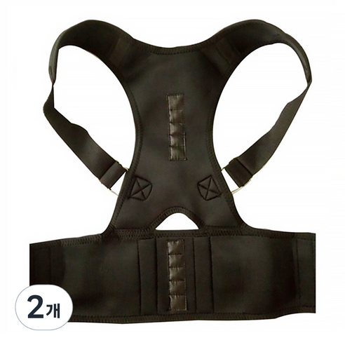 알럽홈 등받이 자세 보정 벨트 블랙 M, 2개