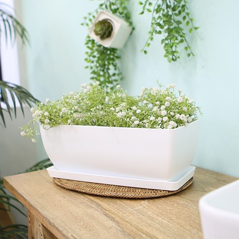 당신의 공간에 싱그러움을 더하는 플라팜 직사각 화분 세트