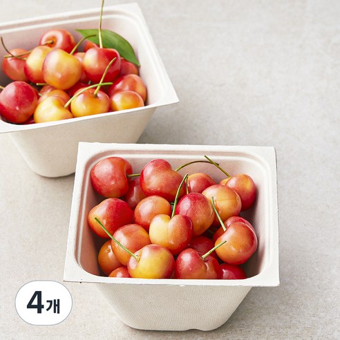 아주마 국내산 산지직송 영동 레이니어 체리, 250g, 4개