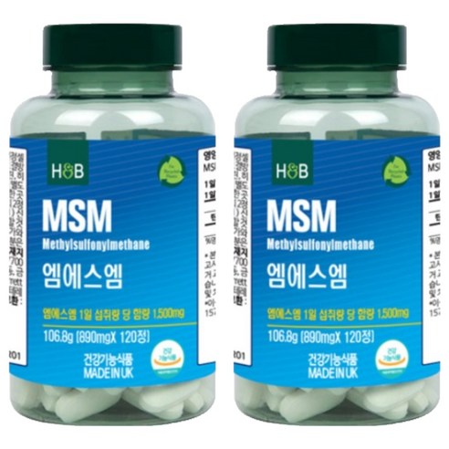 홀랜드앤바렛 엠에스엠 106.8g, 2개, 120정
