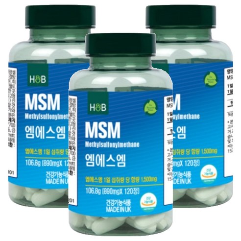 홀랜드앤바렛 엠에스엠 106.8g, 3개, 120정