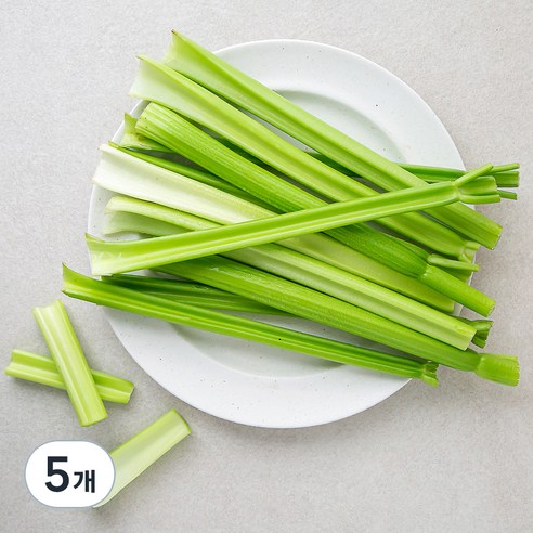 곰곰 셀러리 스틱, 600g, 5개