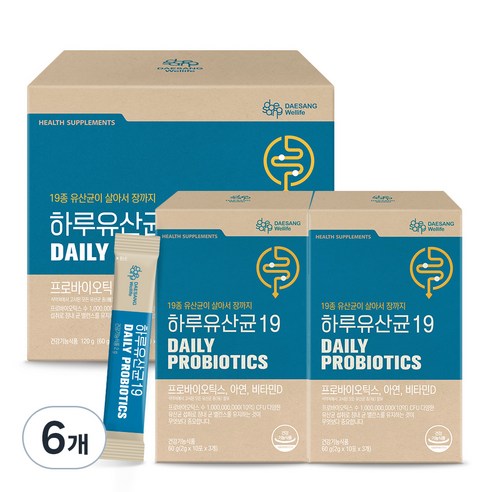 대상웰라이프 하루 유산균 19, 60g, 2개