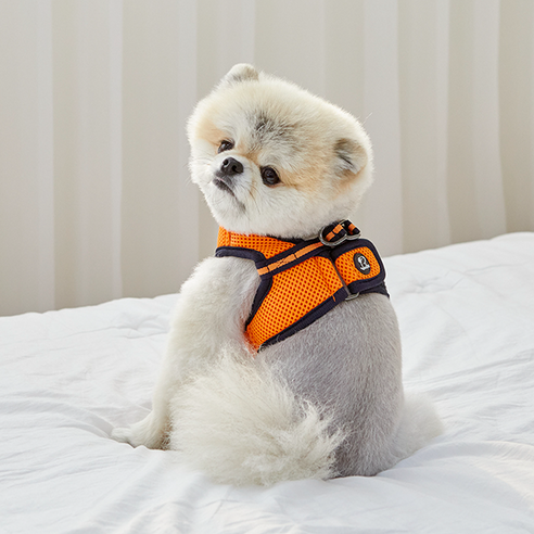 RealPet 프리세이프 강아지 조끼 하네스, 오렌지