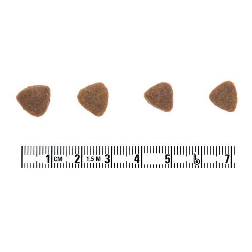 고양이를 위한 건강하고 맛있는 선택