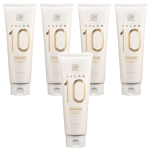 미쟝센 살롱10 단백질 트리트먼트 손상모발용, 250ml, 5개