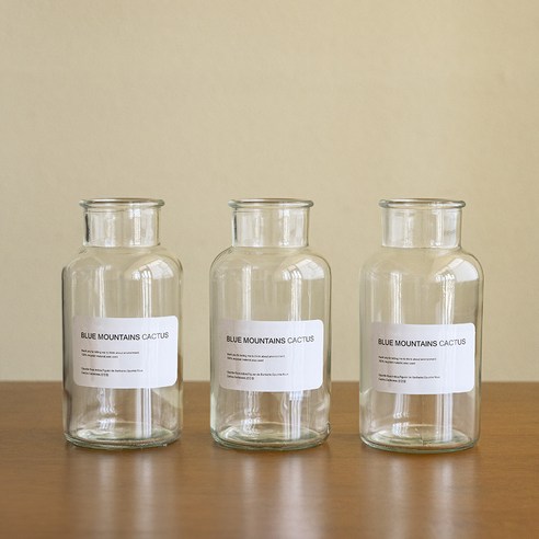앙플랜트 화병 디퓨저 공용 시약병 500ml 3p, 투명