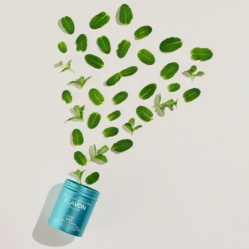 상쾌한 미소, 플라본 가루 치약 민트로 시작하세요.