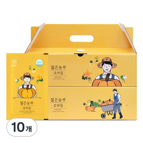 푸릇담 국내산 젊은농부 호박즙, 3L, 10개