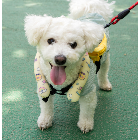 귀여움과 시원함을 동시에! 카카오프렌즈 넥쿨러 밴드로 쾌적한 여름을!