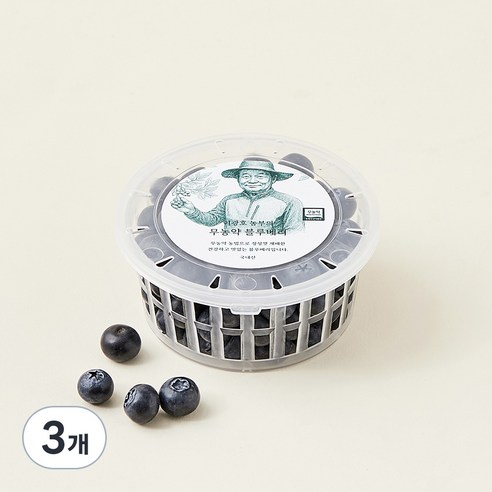 이광호 농부의 무농약 블루베리, 3개, 100g(대과)