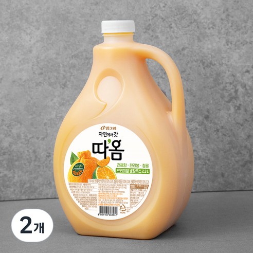 빙그레 따옴 청귤&한라봉, 2300ml, 2개