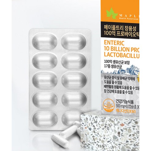 메이플트리 장용성 100억 프로바이오틱스 생유산균, 60정, 1개