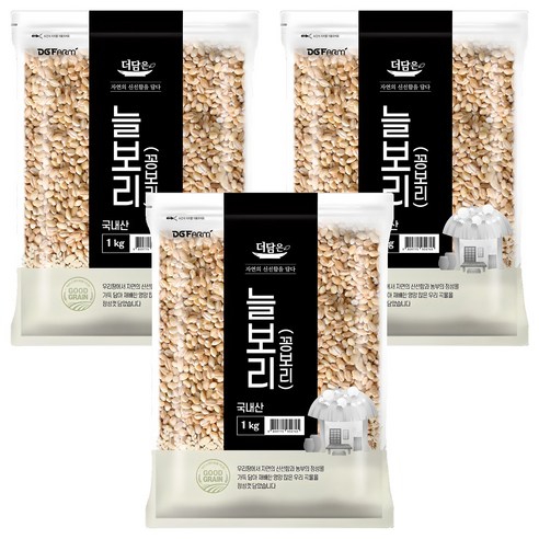 더담은 국산 늘보리 꽁보리, 1kg, 3개