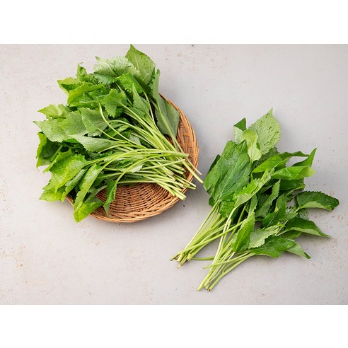 손질 걱정 없이 즐기는 향긋한 국내산 취나물