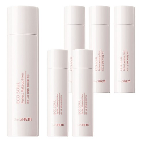 더샘 에코 소울 퍼펙트 메이크업 픽서, 100ml, 6개