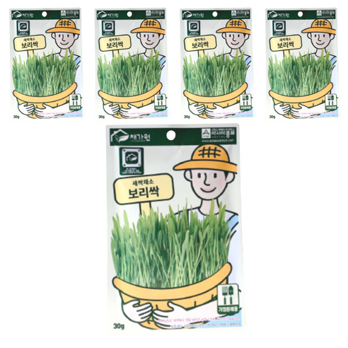 채가원 퍼피가드 캣글라스, 보리, 30g, 5개