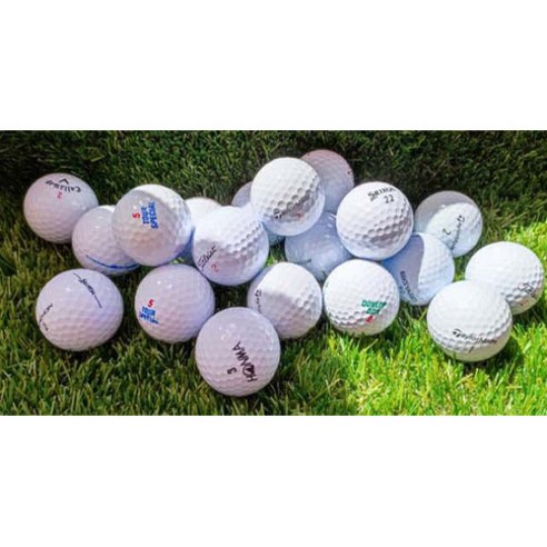 합리적인 가격으로 즐기는 프리미엄 골프, WSD 로스트볼