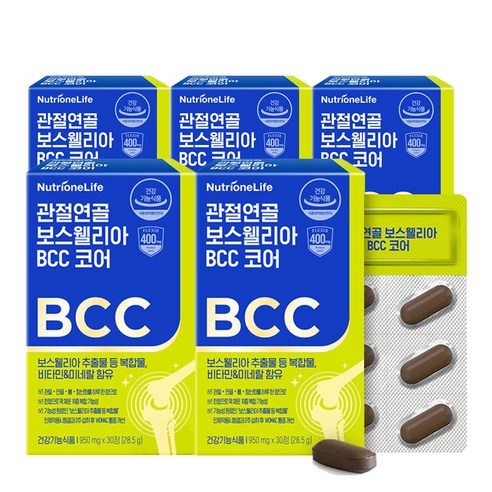 뉴트리원 관절 연골