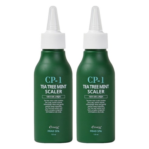 씨피원 헤드 스파 티트리 민트 스케일러, 2개, 120ml