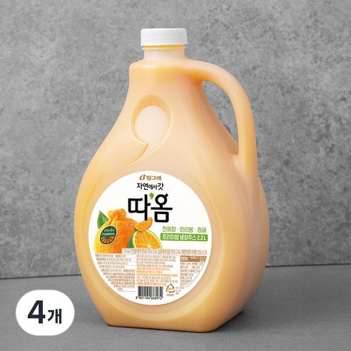빙그레 따옴 청귤&한라봉, 2300ml, 4개