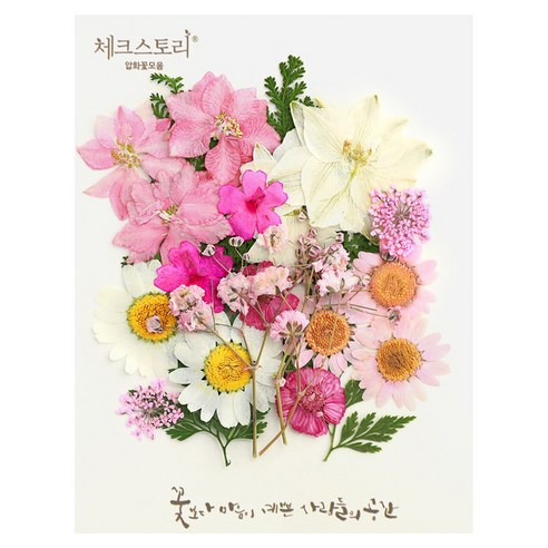 밋밋한 일상에 꽃 한 줌, 나만의 감성을 더하다 압화