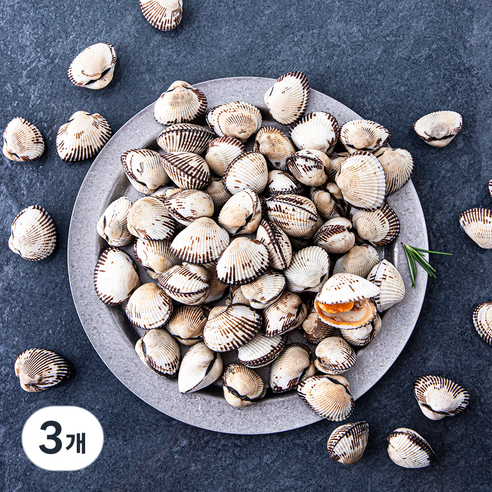 어부심 산지직송 갓 수확한 벌교 생물 새꼬막 (냉장), 1kg(중, 90~110알), 3개