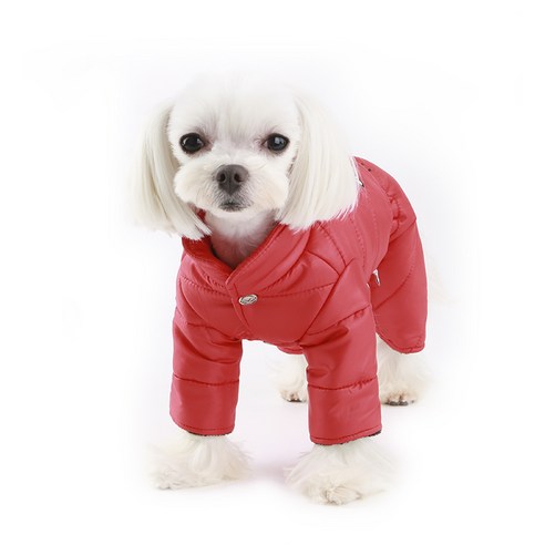 狗衣服狗衣服小狗天使填充物puppyangel豪華填充物填充物狗填充物狗冬季衣服狗多合一貓多合一貓衣服貓中性衣服貓衣服狗中性衣服 狗衣服 寵物衣服 寵物的所有功能於一身 漂亮 可愛 色彩鮮豔 舒適 大 小