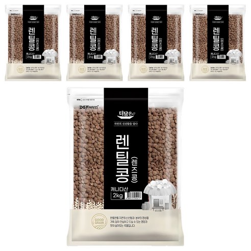더담은 렌틸콩 렌즈콩, 2kg, 5개