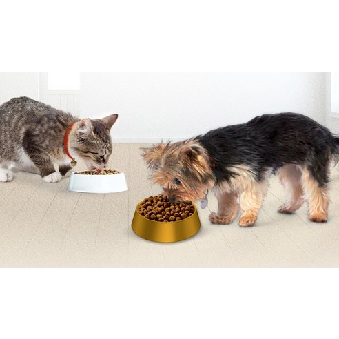 민감한 반려견을 위한 최상의 사료