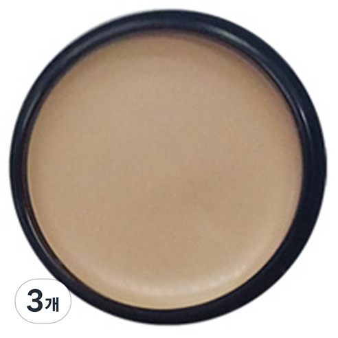 애리조 카마플레이지 크림 13g, No3 크림, 3개