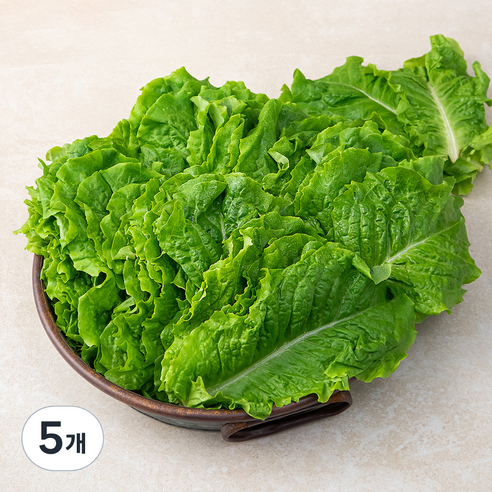 국내산 청상추, 1kg, 5개