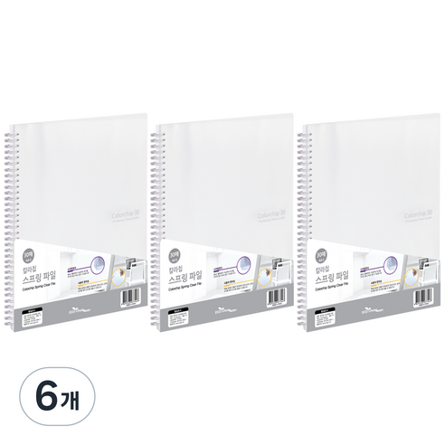 에코청운 칼라칩 스프링화일 30매 A4, 투명, 6개