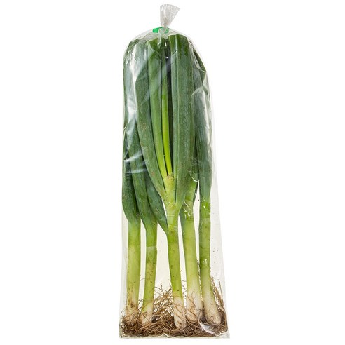 흙대파: 영양가 풍부한 채소의 풍미와 건강상 이점