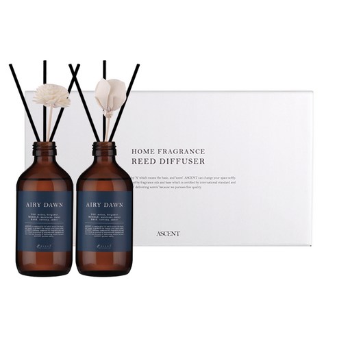 에이센트 네이처 디퓨저 본품형 200ml x 2p 세트, 에어리던, 1개
